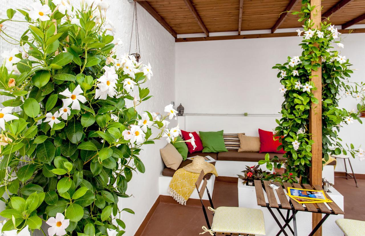 City Garden Bed And Breakfast Βαλένθια Εξωτερικό φωτογραφία